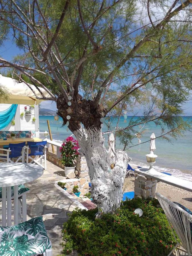Golden Dolphin Studios & Apartments Аликес Экстерьер фото